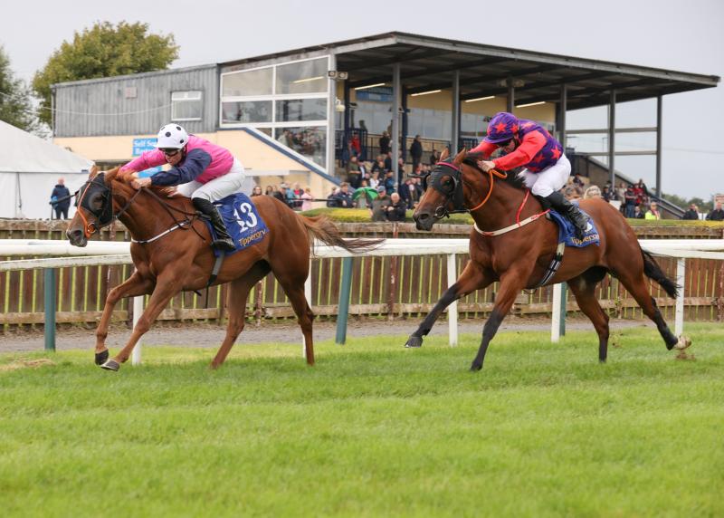 Work on all-weather track at Tipperary Racecourse will start in the first quarter of 2026