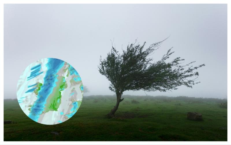 Strong gale force winds on the way as two counties hit with weather warnings