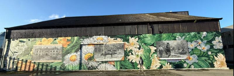 New riverfront mural in Carrick-on-Suir celebrates town's heritage and nature 