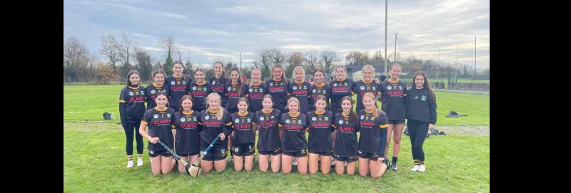 Tremendous comeback by St Patrick's secures Munster camogie title 