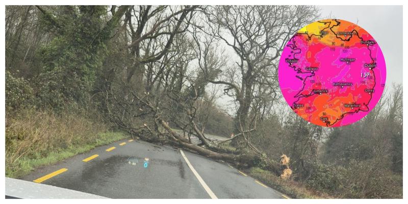 HAVOC! Storm Barm rips through Tipperary with power outages and road closures