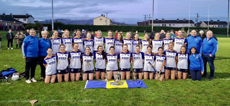 Excellent team performance secures Munster camogie title for Tipperary club