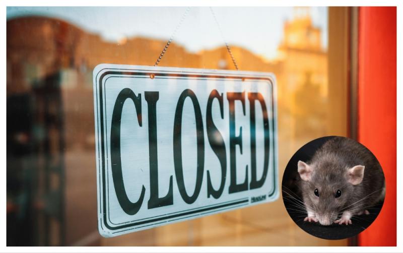 Dead mouse and droppings found as part of popular Tipperary pub forced to close in November