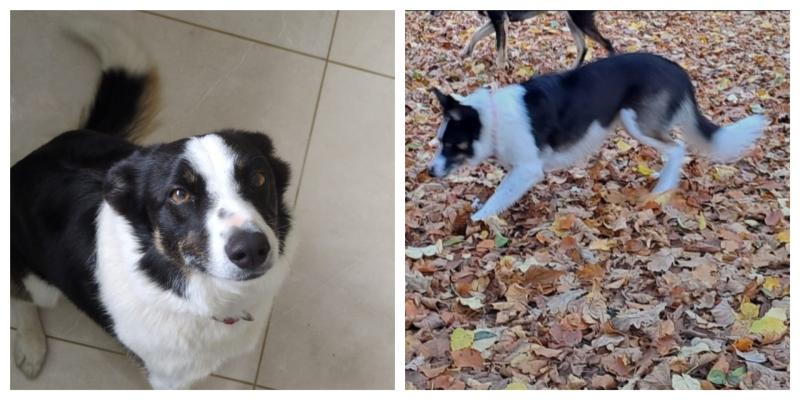 Tipperary Tipperary Tipperary 