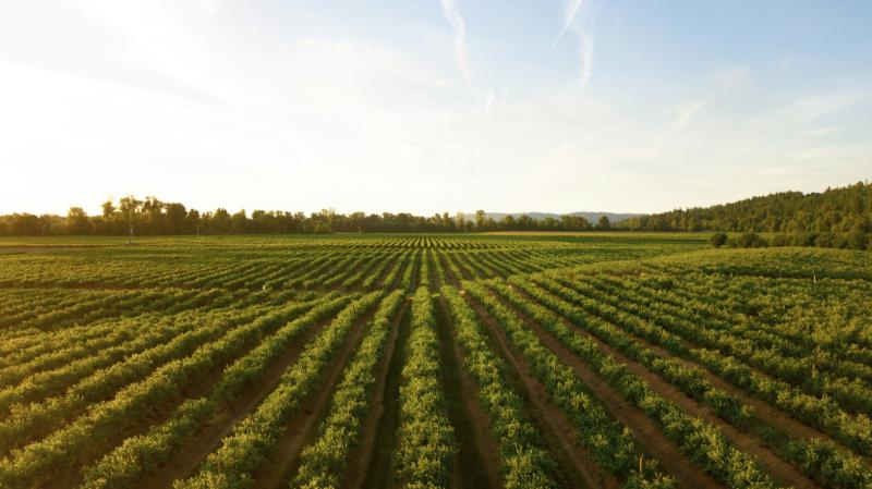 Over &euro;129m issued across Tipperary in 2025 by the Department of Agriculture, Food and the Marine