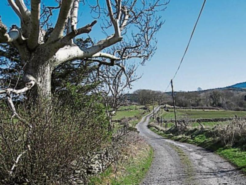 NEWS: Local Improvement Scheme opens for applications for Tipperary residents 