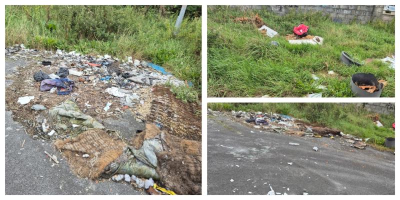 Calls made for more CCTV camera to combat illegal dumping in Tipperary