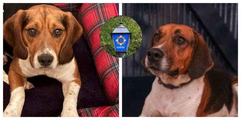 Tipperary Tipperary Tipperary 