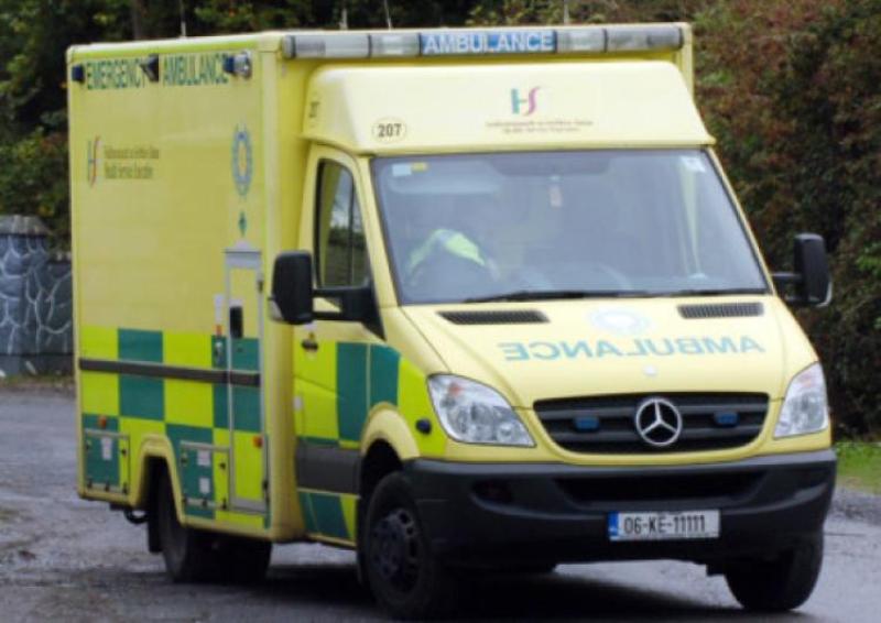 Infant boy hospitalised with 'serious injuries' after dog attack in Kilkenny
