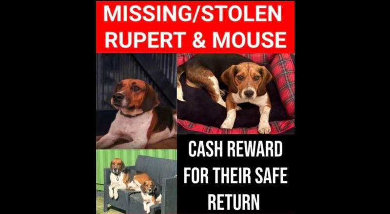 Tipperary Tipperary Tipperary 