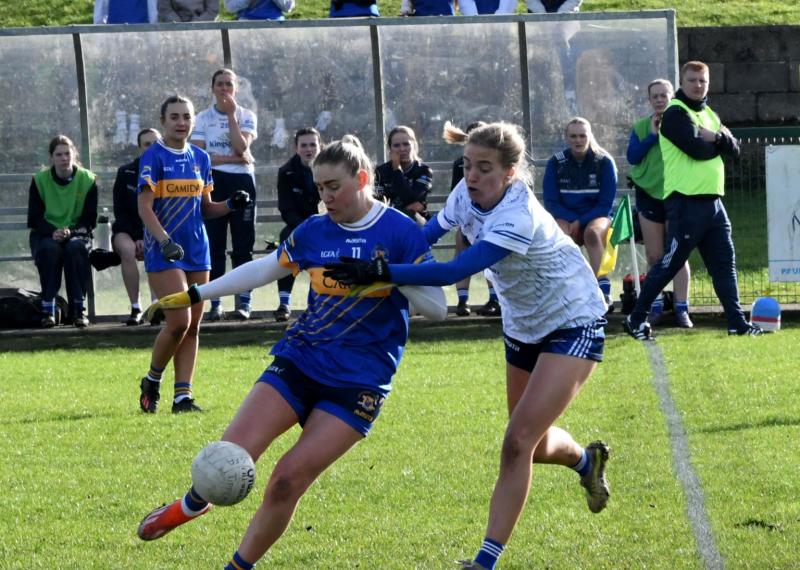 Tipperary scoring drought in either half leads to home defeat against a strong Cavan effort