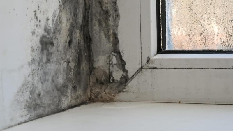 Only 1.47% of social homes in Tipp have been audited, say Tipperary Sinn F&eacute;in