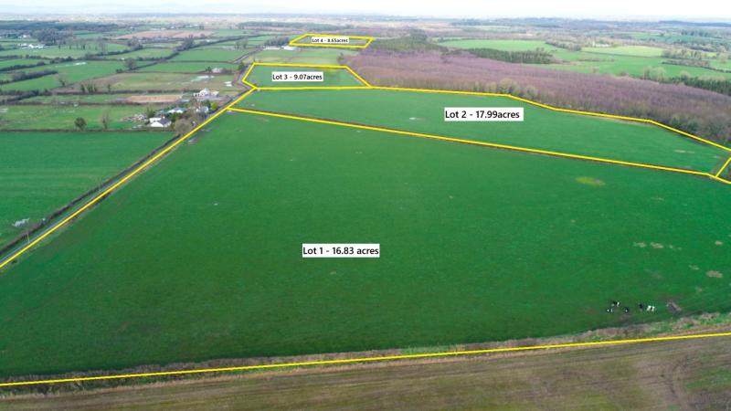 Prime 52 acre agricultural holding in Tipperary comes to market in four separate lots sale