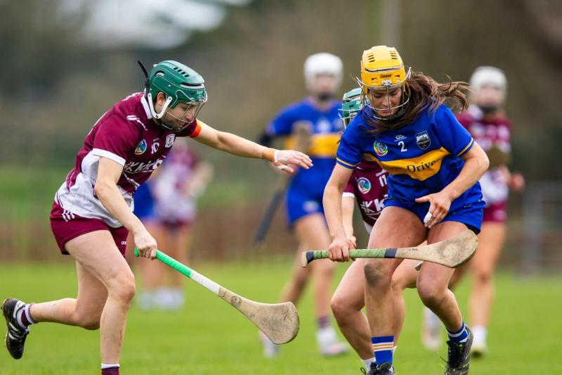 Relegation threat looms for Tipperary's senior camogie team after Galway loss in the league