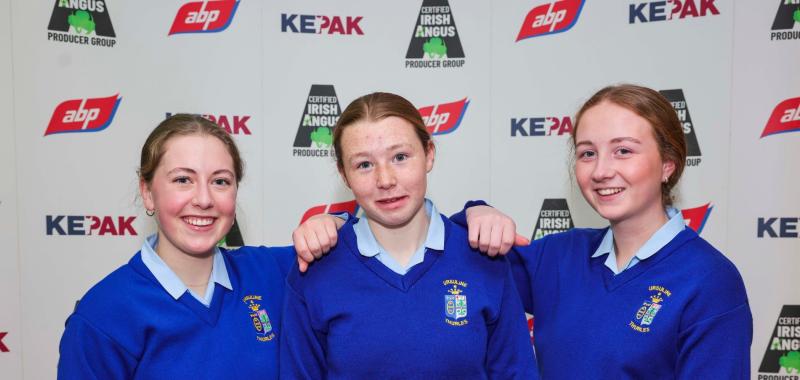 PICTURES: Tipperary students attend prestigious competition finals in Dublin 