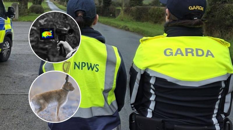 LONG READ: Inside the 'seasonal scourge' terrorising rural landowners across Tipperary