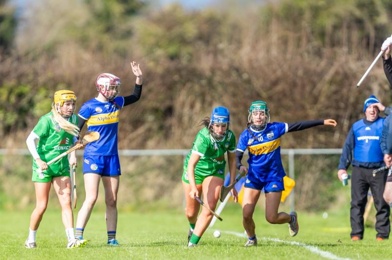 Tipperary minors dig out impressive victory against fancied Limerick team in All-Ireland fare