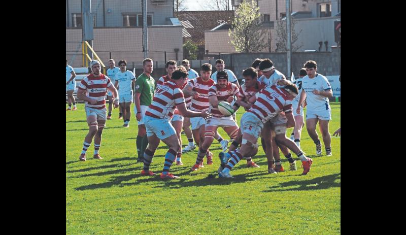 Nenagh Ormond put on brave display but ultimately come up short against Cork Constitution