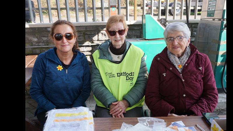 Volunteers turn out in force on Daffodil Day in Tipperary to support the Irish Cancer Society