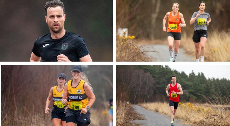 All images courtesy of Niall Moran.  www.niallmoran.ie