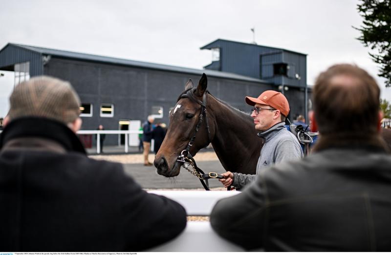 Thurles racecourse to continue operating for at least another year