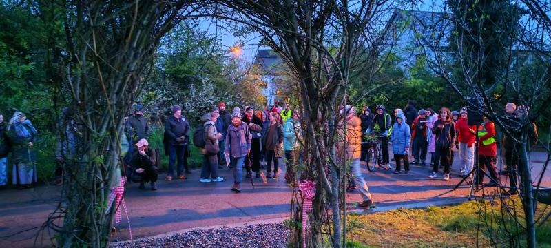 Ecovillage lighting launch. Photo: Darren Flynn