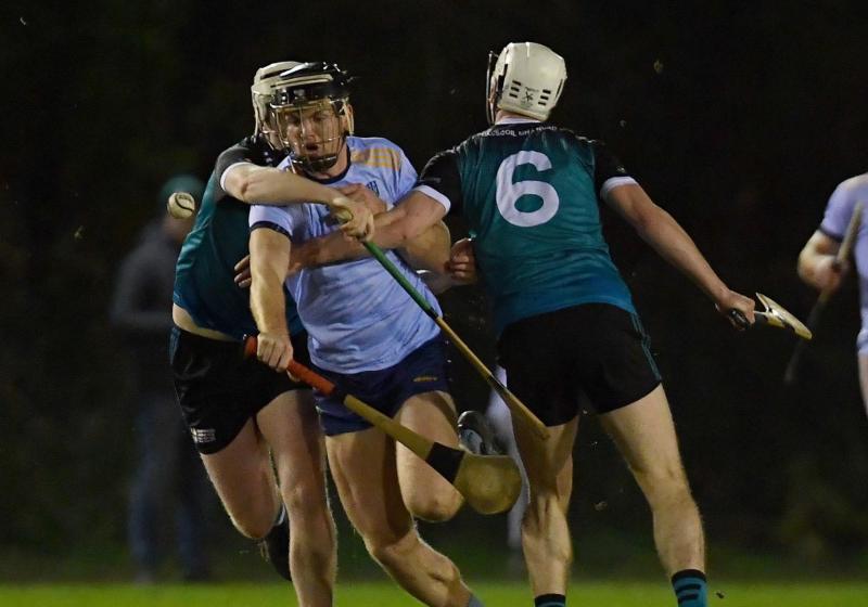 Fitzgibbon Cup: See how Tipperary players fared after the first week of action