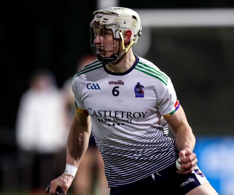 Two Tipperary hurlers named on Fitzgibbon Cup  Team of the Year 