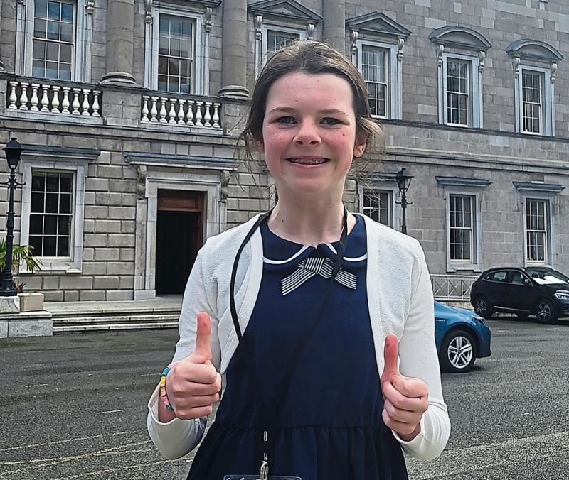 Darmody campaign on assessments of needs a 'rare victory for families', says Bonfield
