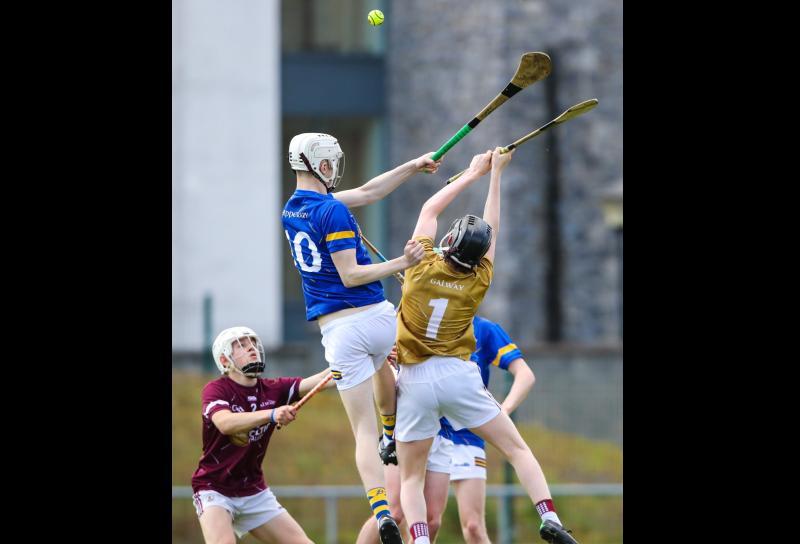 IN PICTURES: Future looks bright for Tipperary as U17 players win Celtic Challenge final