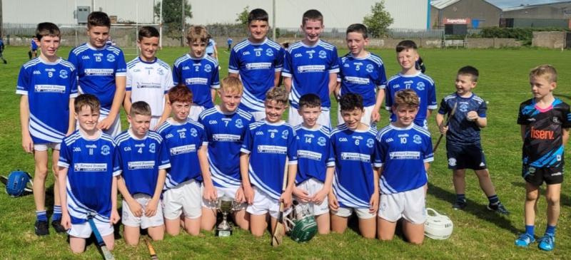 Double delight at Davin Park as St Mary's U13 hurlers pick up two South Tipperary titles