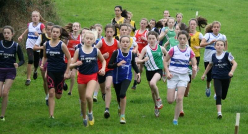 And they're off! Tipperary Community Games first final of the year on Saturday