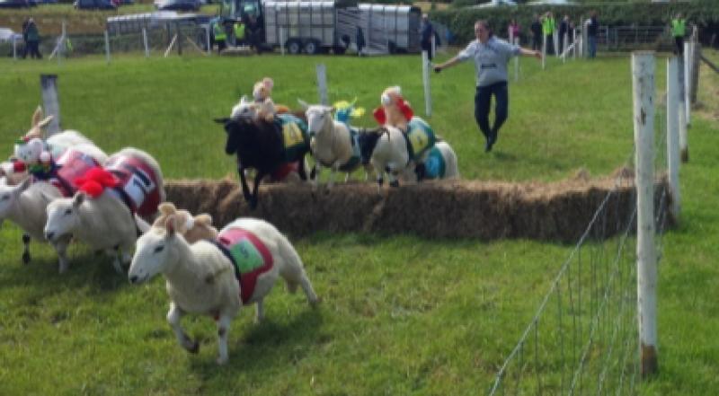 South Tipperary village gets ready for four-day multi-event festival