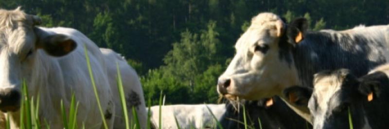 Tipperary farm leader says sector willing to meet climate targets, but State has a role