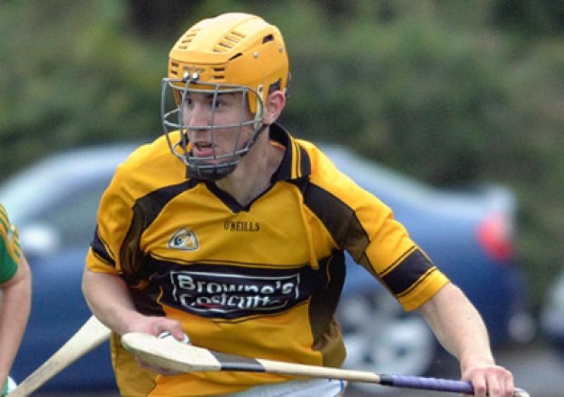 West Tipperary GAA Club Knockavilla/Donaskeigh Kickhams held their AGM last week.