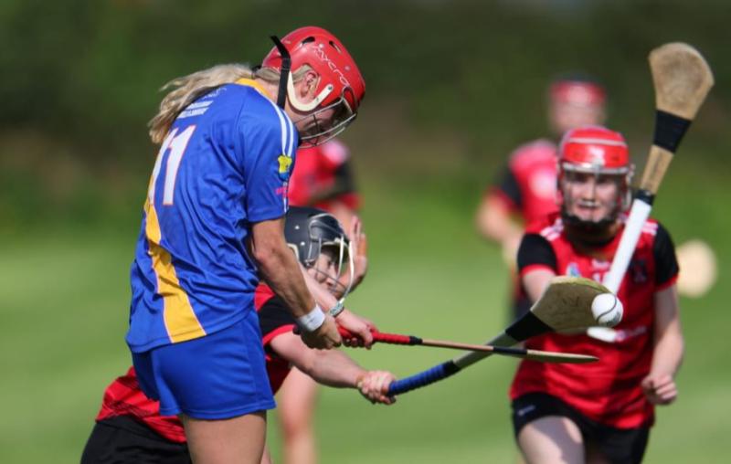 CAMOGIE ROUND-UP: 