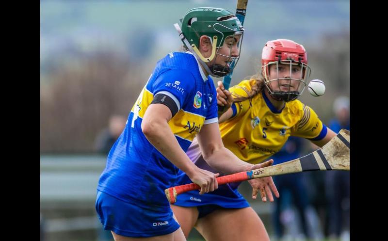 CAMOGIE: Tipperary have real chance of Munster final showdown ahead of Deise clash