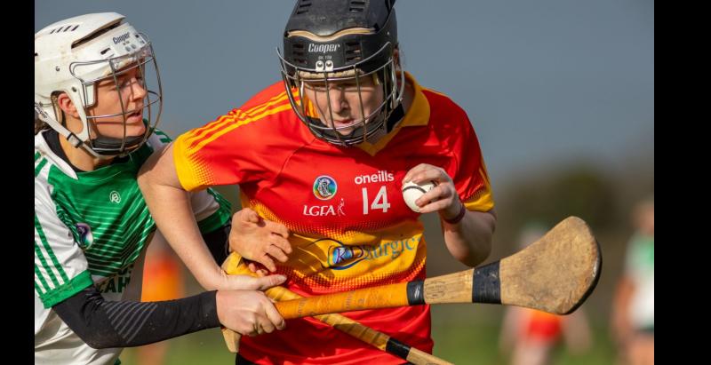 Camogie feast this weekend as the title deciding games come into focus 