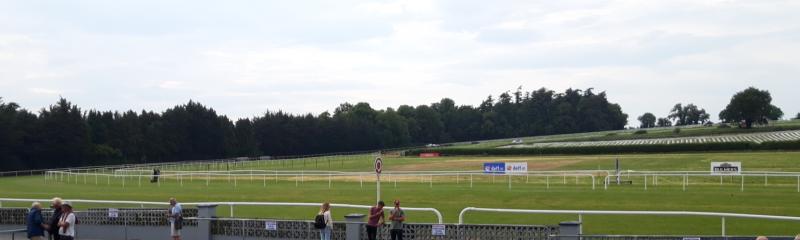 Seven-race card at Clonmel Races gets underway just after noon