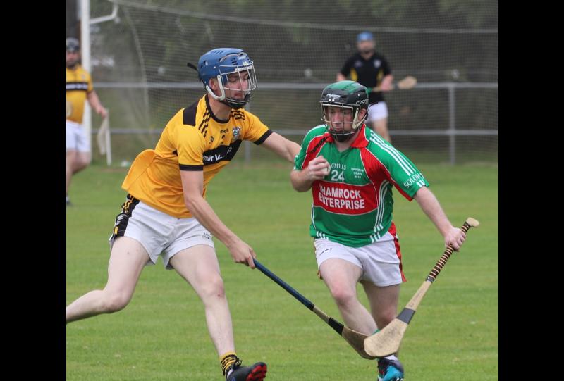 Solohead produce strong start to claim only their second west junior B hurling crown