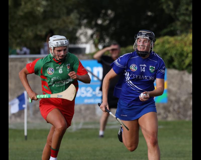 Senior Camogie: Round up of opening weekend of championship action