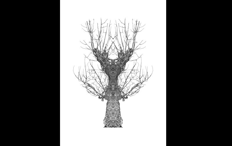 Check out this Tipperary exhibition before it ends this weekend