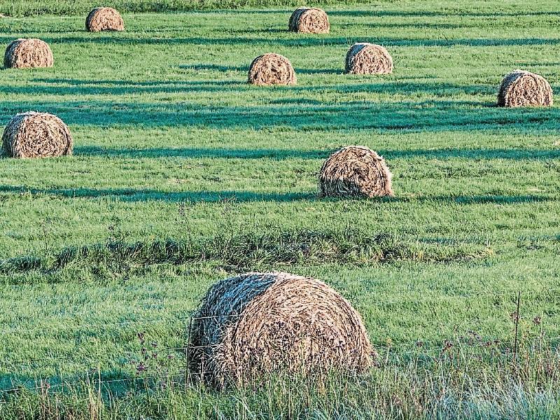 Tipperary farmers should be allowed make hay while the sun shines