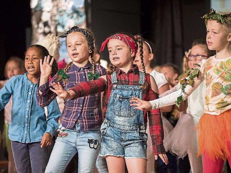 Clonmel pupils display their talents at wonderful school show