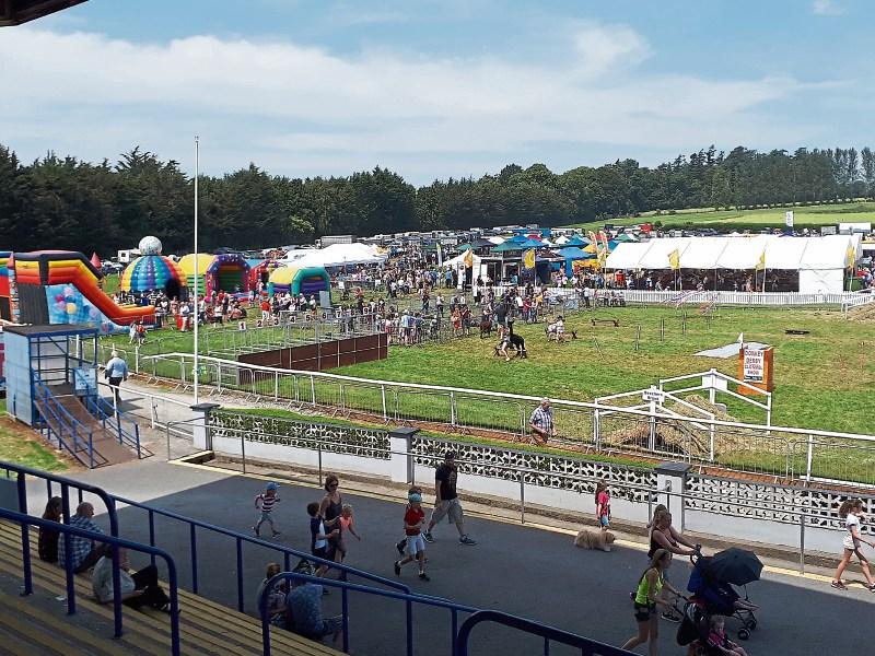 Thouands flock to Clonmel Show in glorious sunshine to see the best that Tipperary has to offer