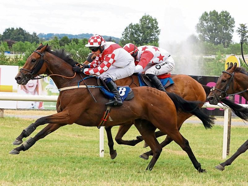 Tipperary trainers and jockeys shine on a great weekend on the track