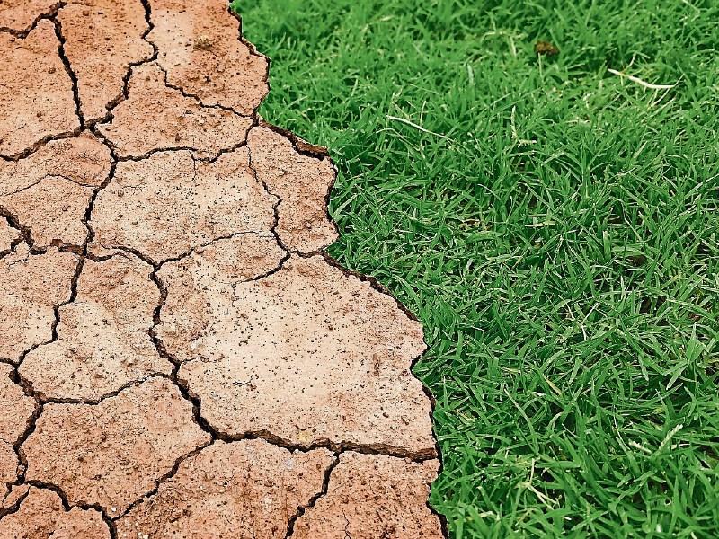 Actions needed to address drought on Tipperary farms