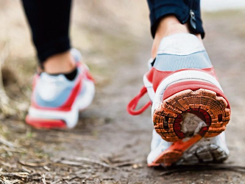 Heritage walk of River Suir Blueway planned