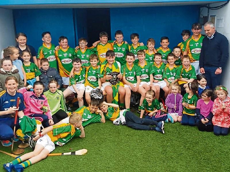 Down from the Glen came the hurling men and women - Lisvernane win county title