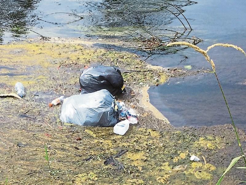 Shameful dumping of domestic rubbish in River Suir at Clonmel
